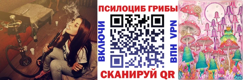 где продают   Мегион  Псилоцибиновые грибы Cubensis 