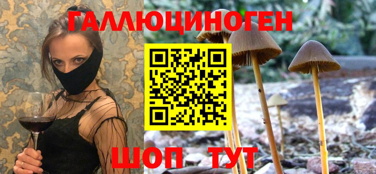 Псилоцибиновые грибы ЛСД  Вход с VPN  Мегион  Галлюциногенные грибы Magic Shrooms 
